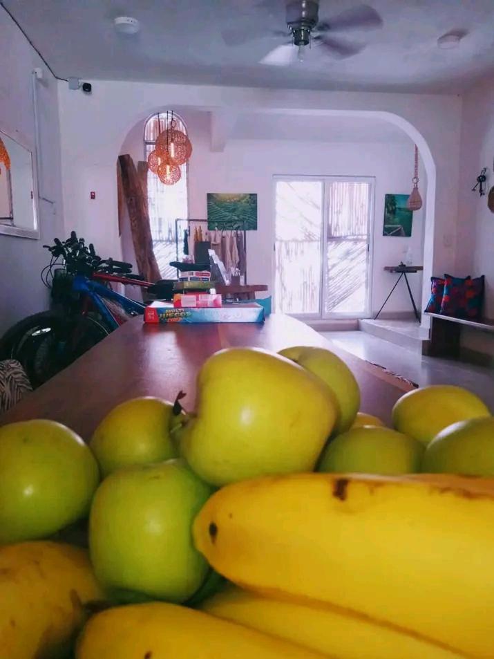 مبيت وإفطار باكالار Casa Bizu المظهر الخارجي الصورة